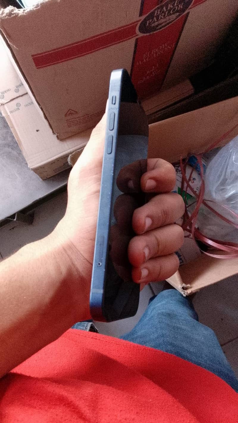 Apple iPhone 12 1
