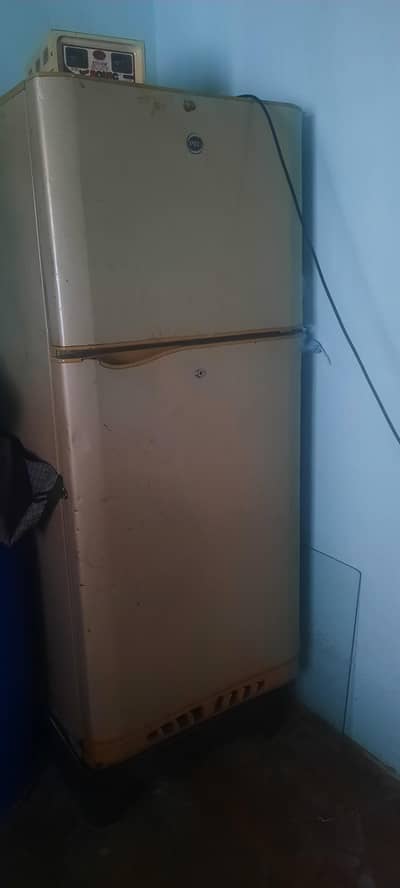 PEL freight  for sell