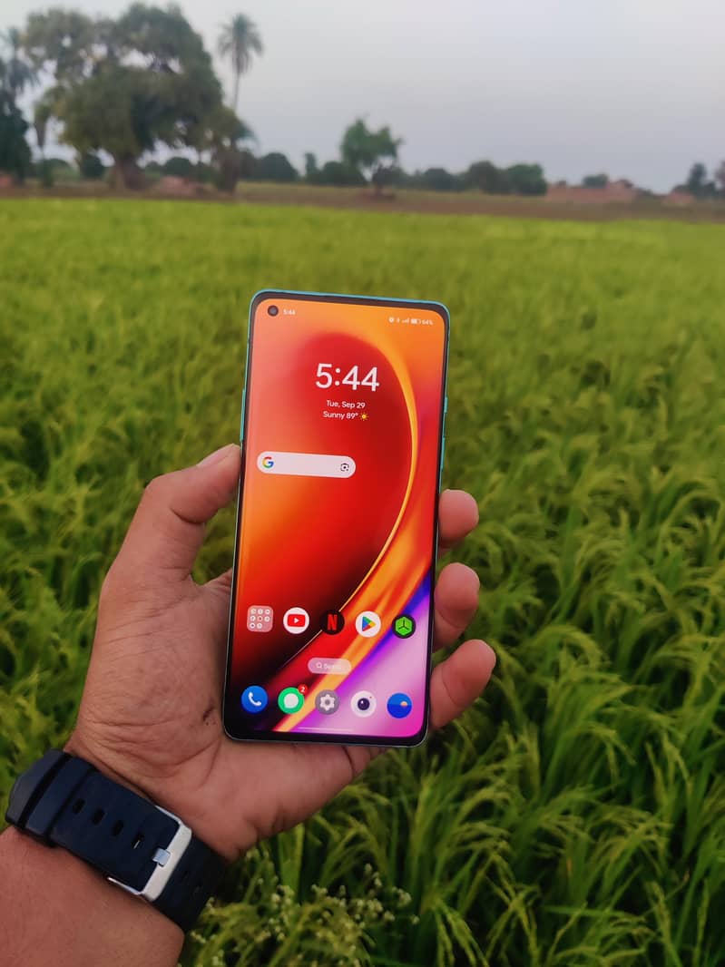 One Plus 8 12)256 0
