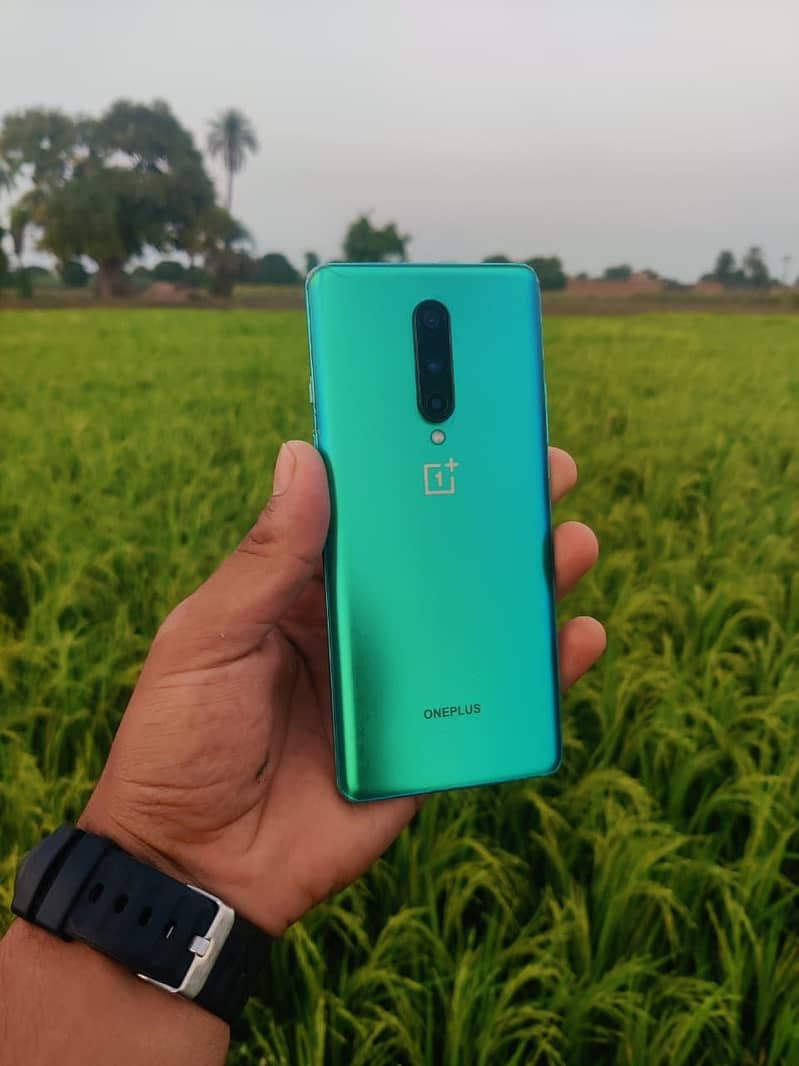 One Plus 8 12)256 1