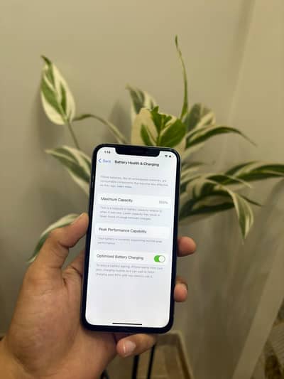 Apple iPhone X