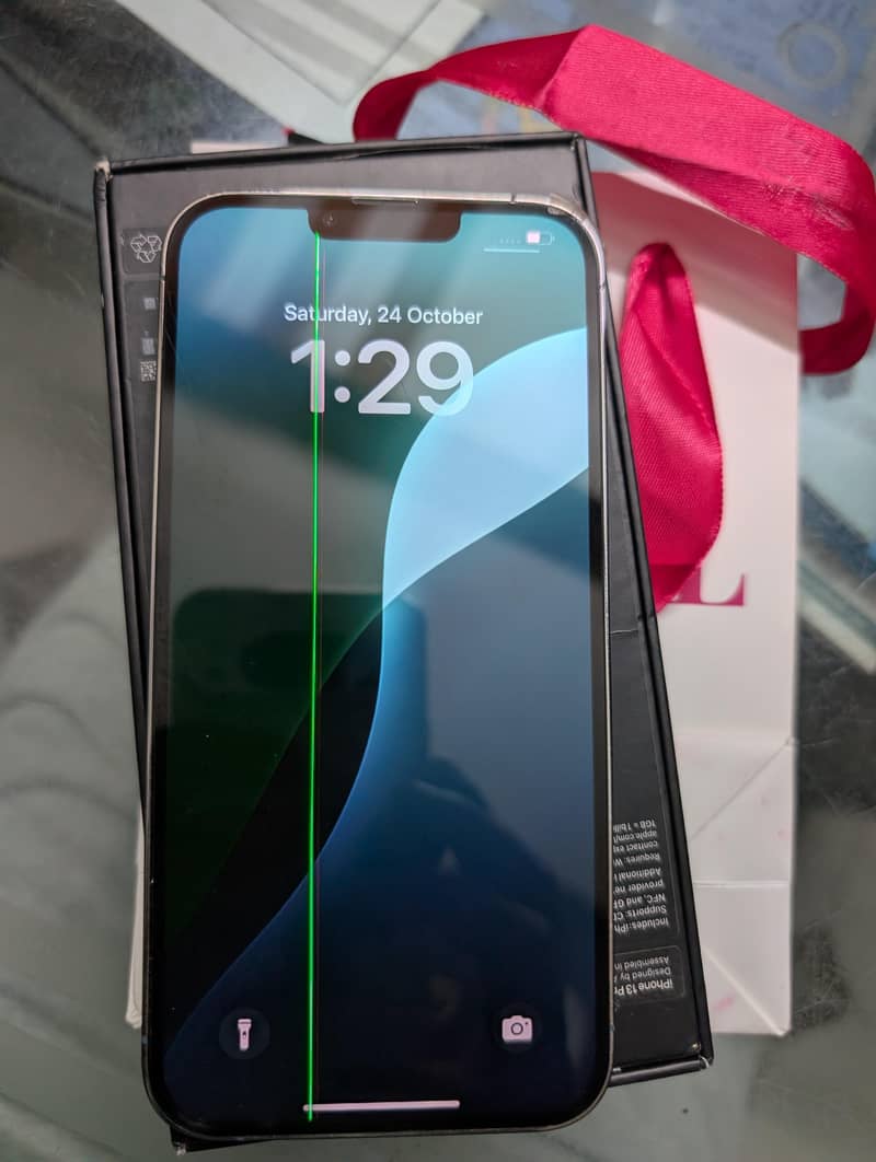 Apple iPhone 13 Pro Max 5