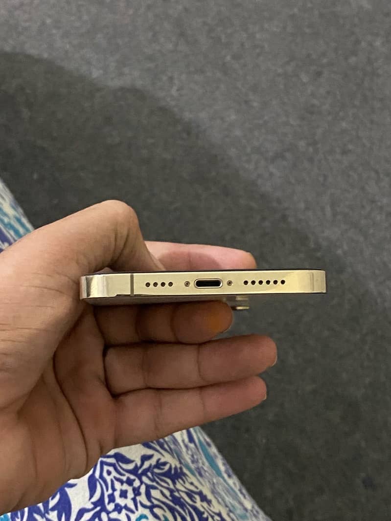 Apple iPhone 12 Pro Max 1