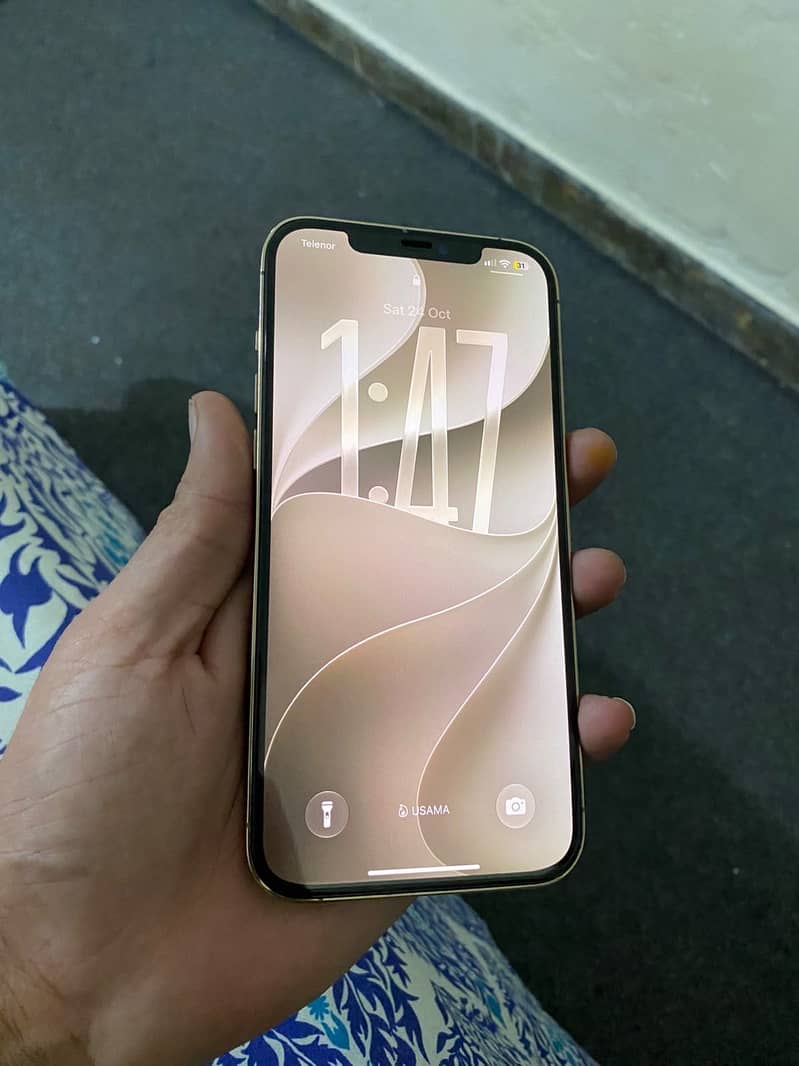 Apple iPhone 12 Pro Max 2