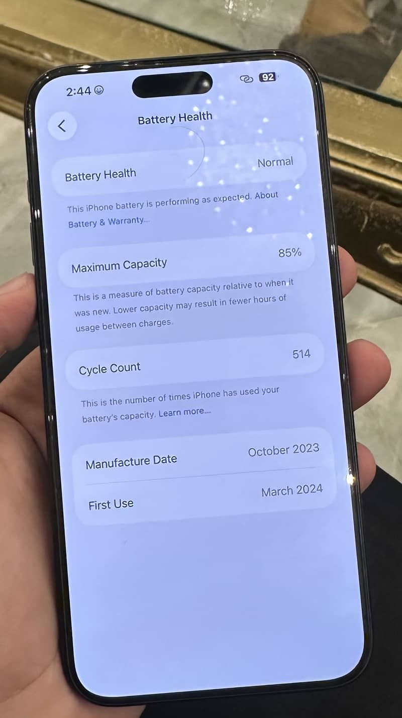 Apple iPhone 15 Pro Max 1