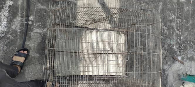 sale my cage