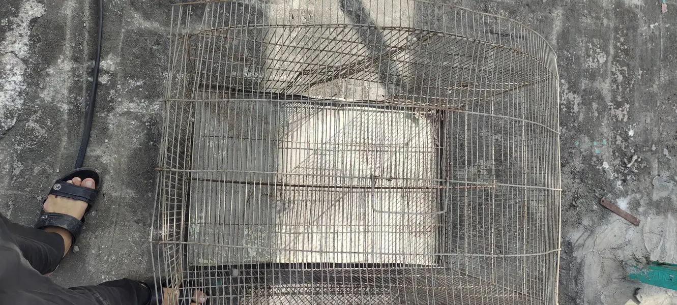 sale my cage