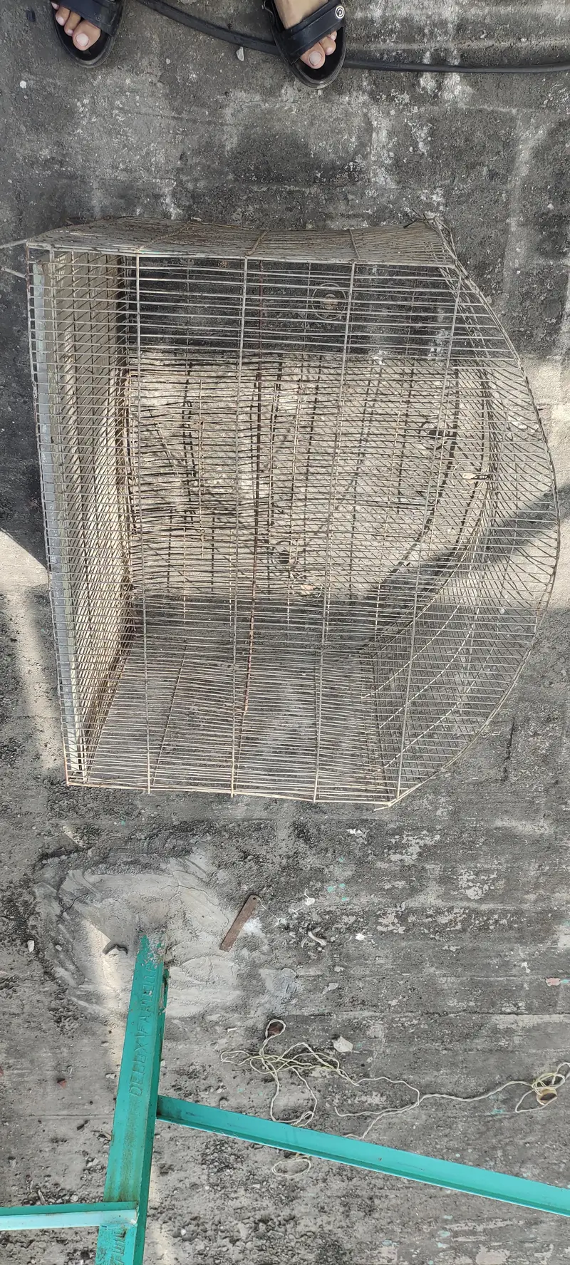 sale my cage — photo 2