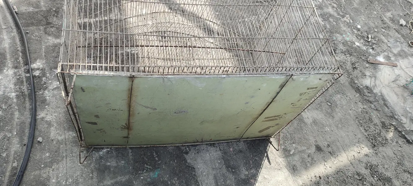 sale my cage — photo 3