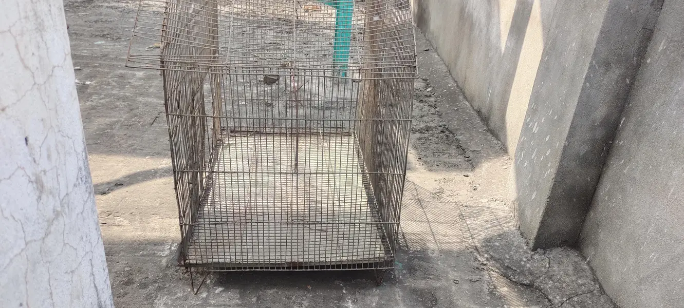sale my cage — photo 4