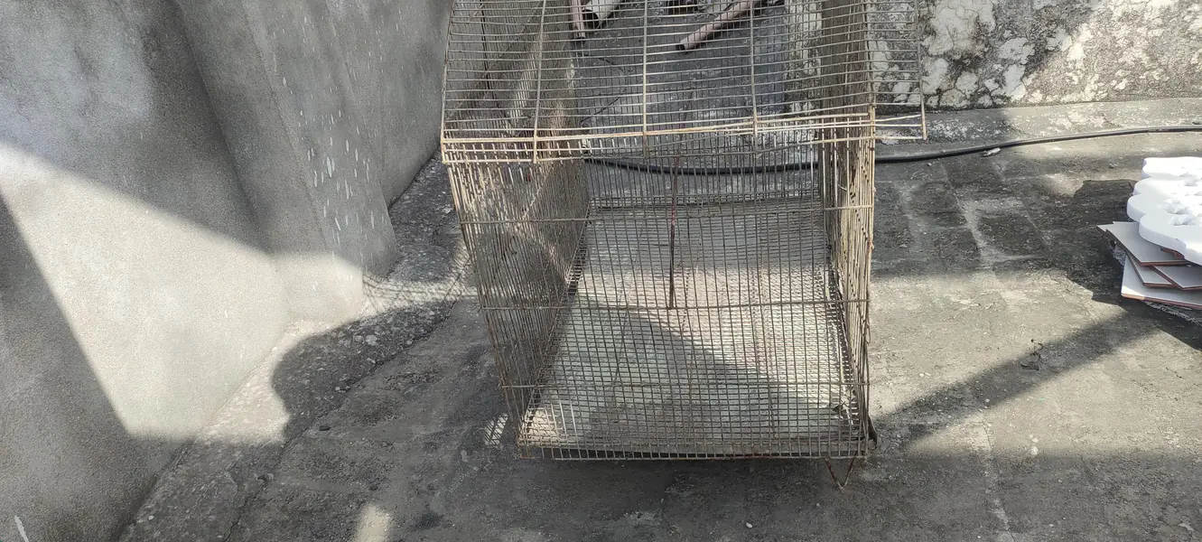 sale my cage — photo 5