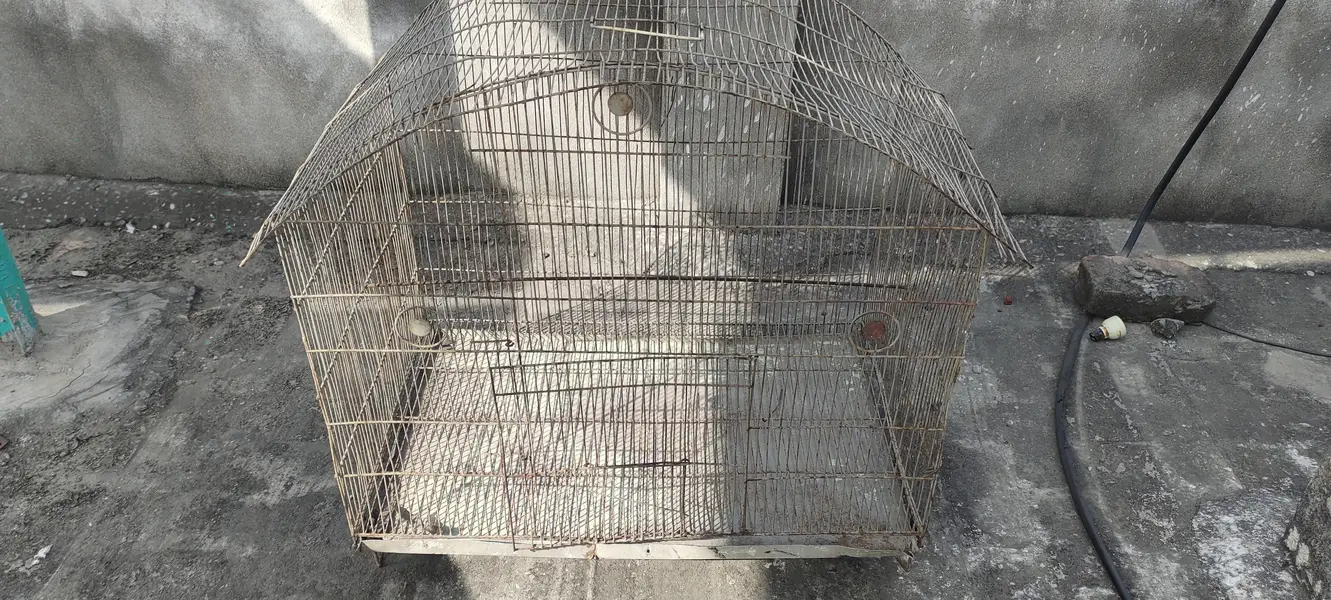 sale my cage — photo 6