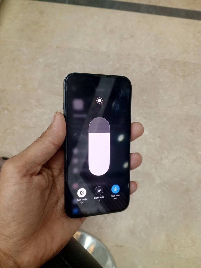 Apple iPhone 13 0