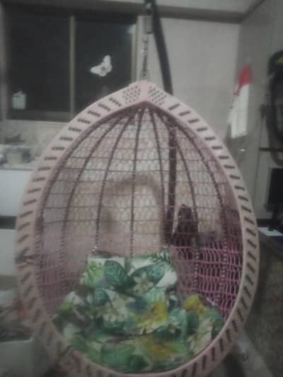 swing jhula for sale