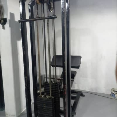 gym dumbbell
