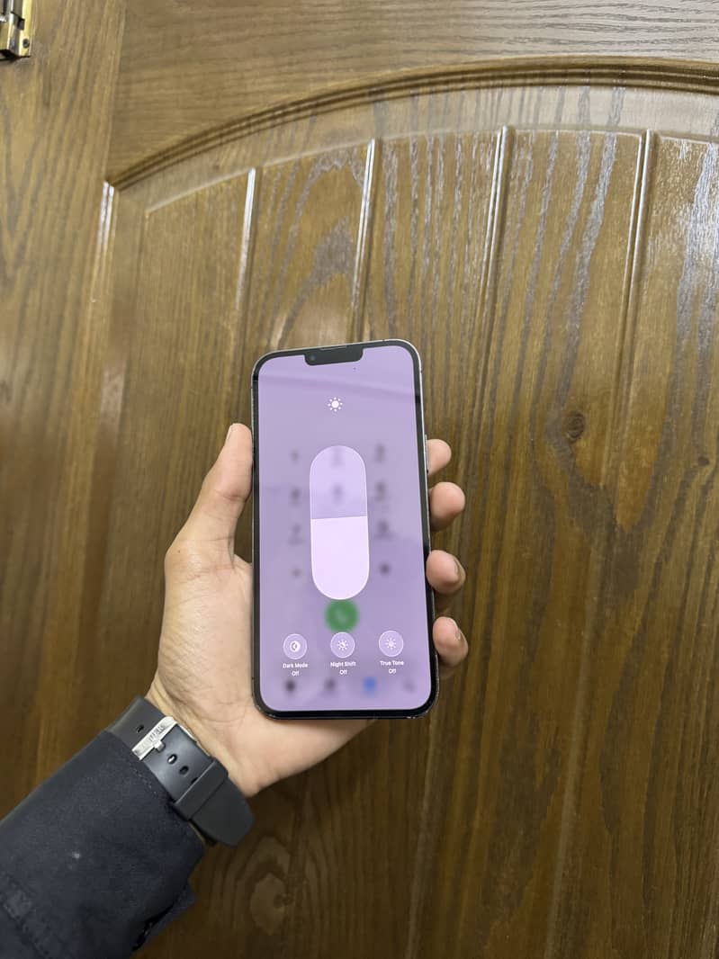 iPhone 13 Pro Max 2