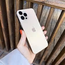 Apple iPhone 12 Pro Max 0