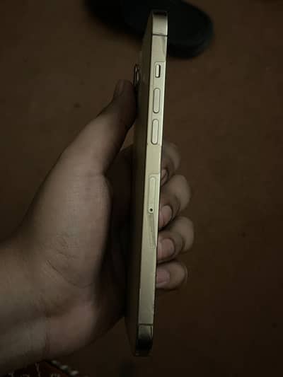 Apple iPhone 12 Pro Max 256gb factory unlock