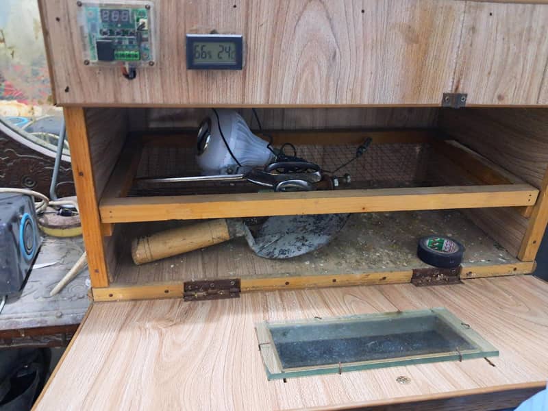 egg hatching machine 1
