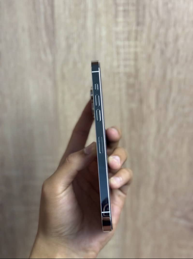 Apple iPhone 14 Pro Max 1