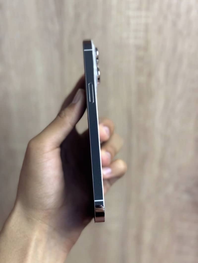 Apple iPhone 14 Pro Max 2