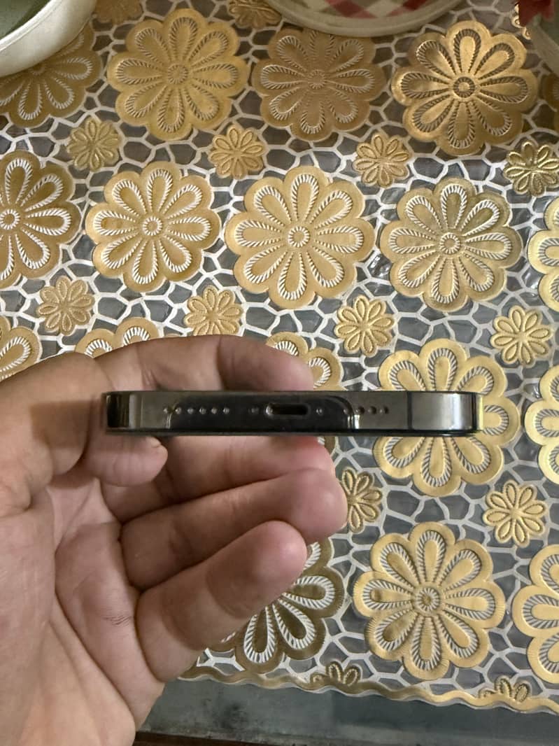 Apple iPhone 13 Pro Max 2