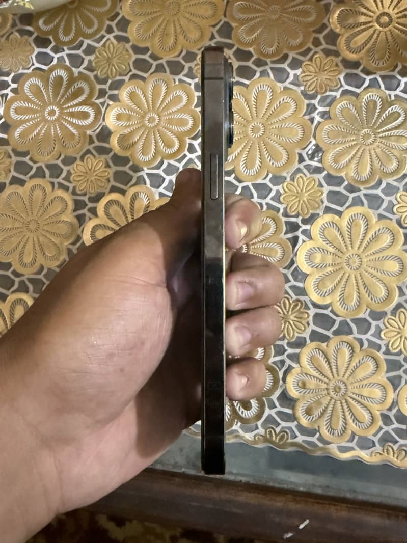 Apple iPhone 13 Pro Max 3