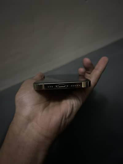 Apple iPhone 12 Pro