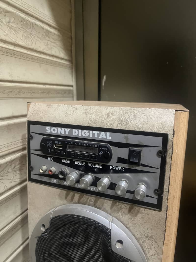Audionic Desi speaker 1