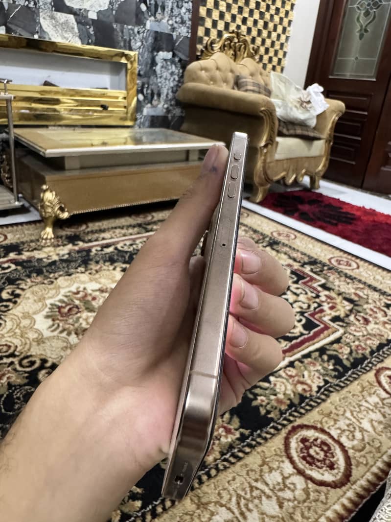 Apple iPhone 16 Pro Max 0