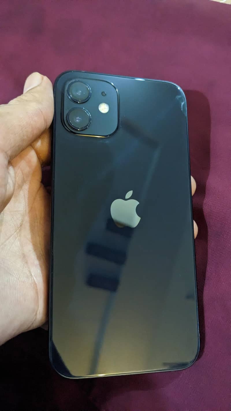 Apple iPhone 12 1