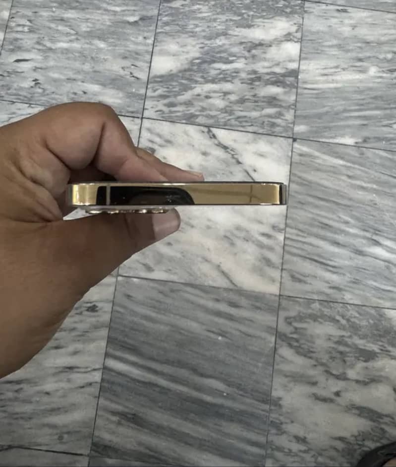 Apple iPhone 12 Pro Max 1