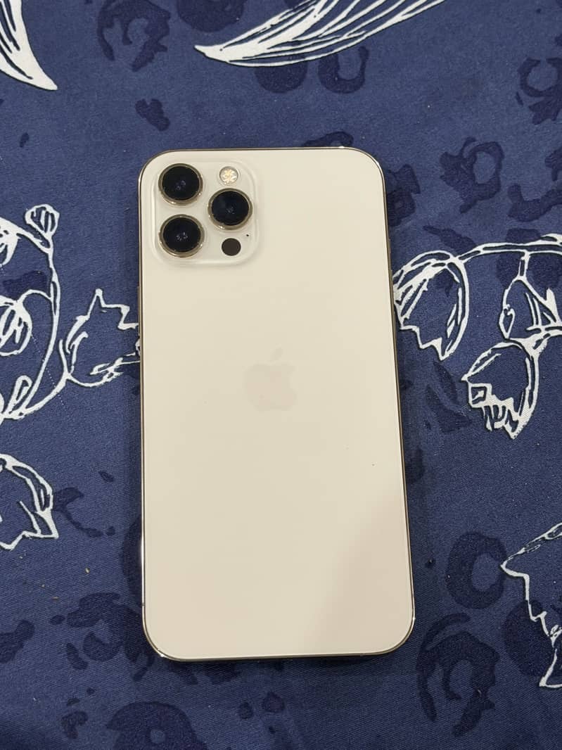 Apple iPhone 12 Pro Max 1