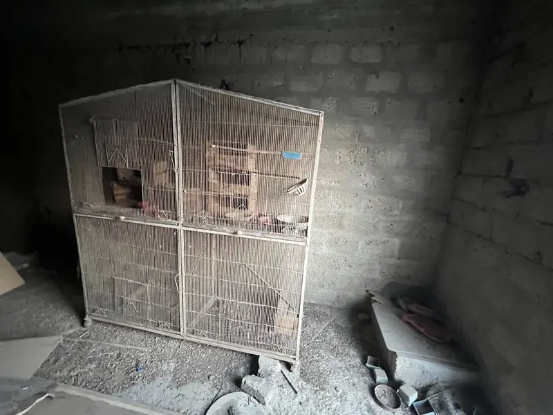 Cages for saleee — photo 3
