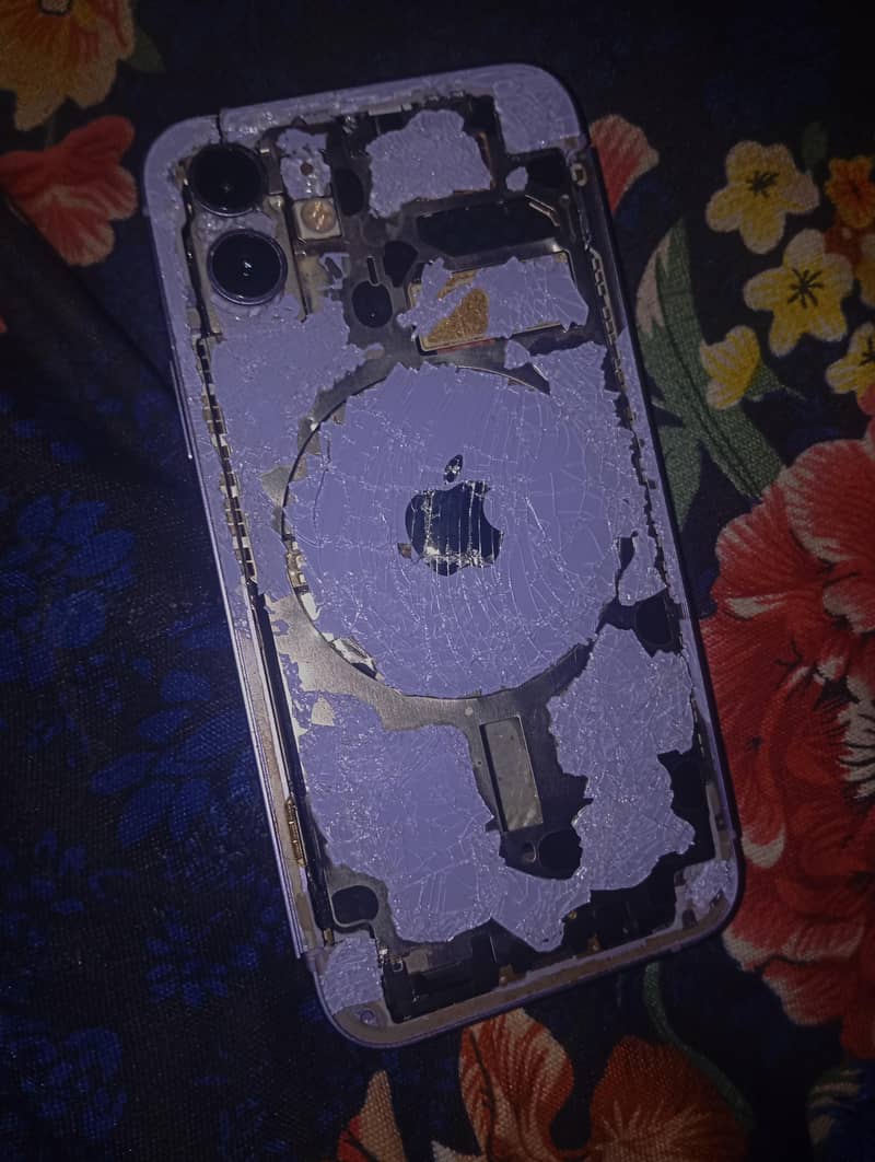 Apple iPhone 12 1