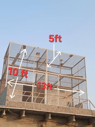 Master cage (specially for pegions]
