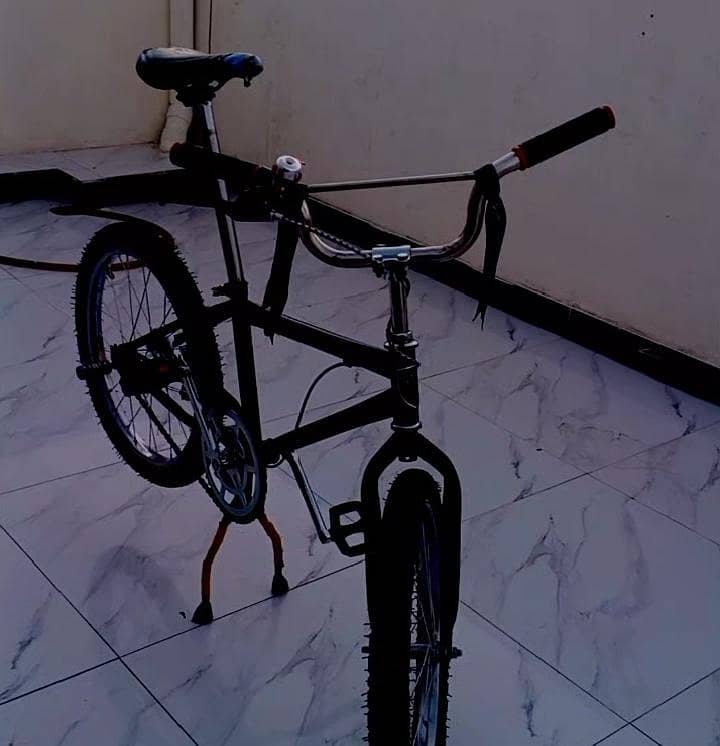 cycle 1