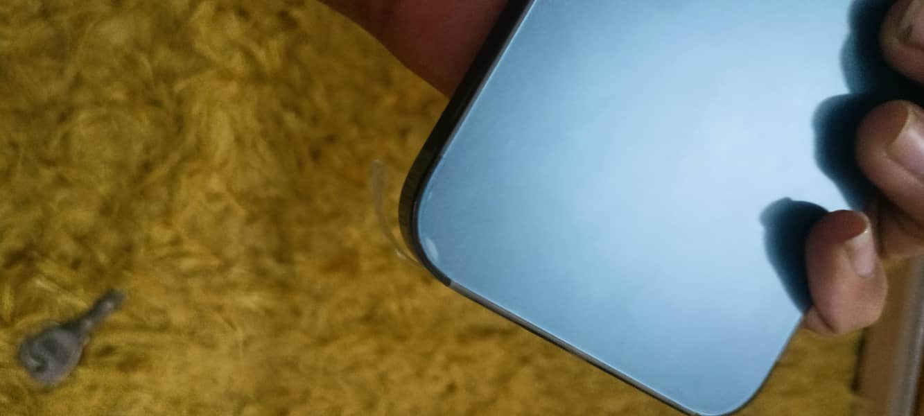 Apple iPhone 12 Pro Max 1