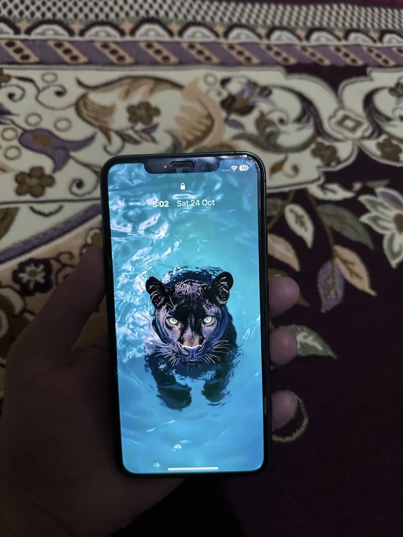Apple iPhone 11 Pro Max 0