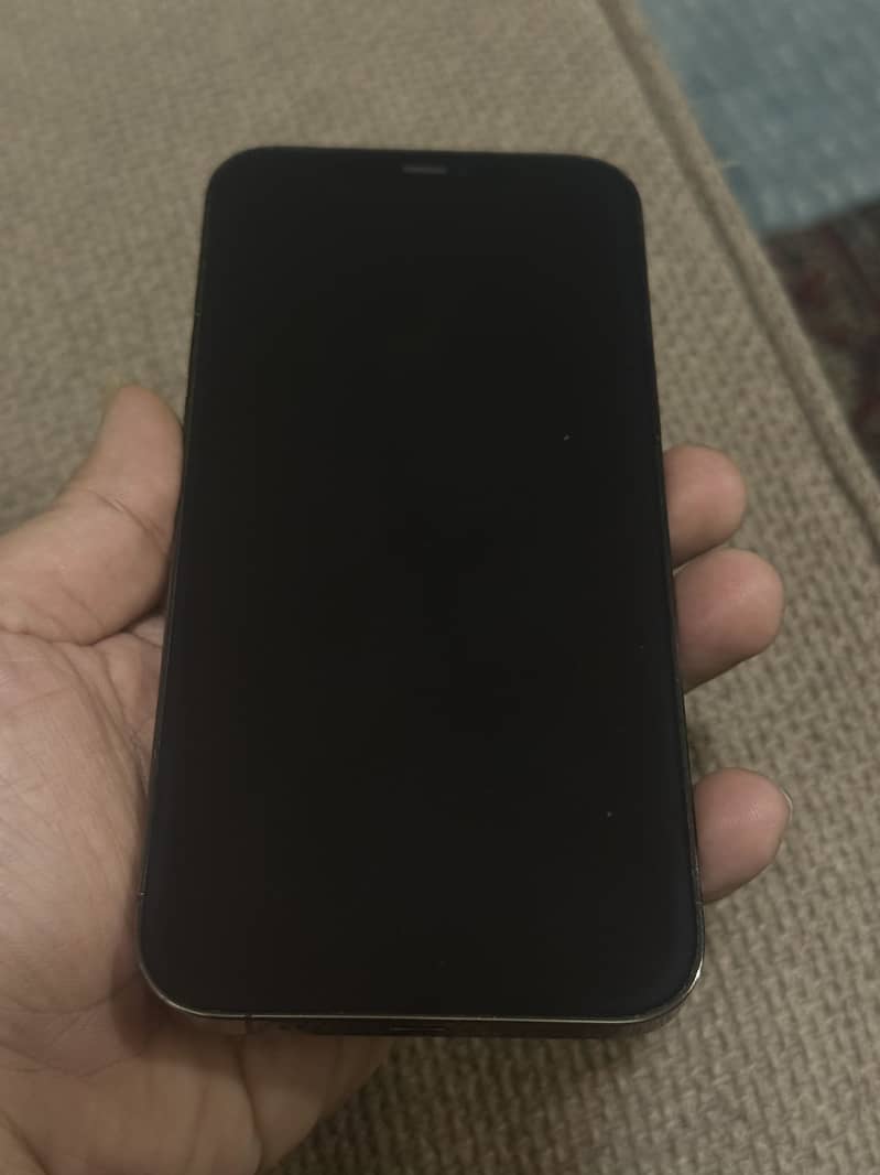Apple iPhone 12 Pro Max 2