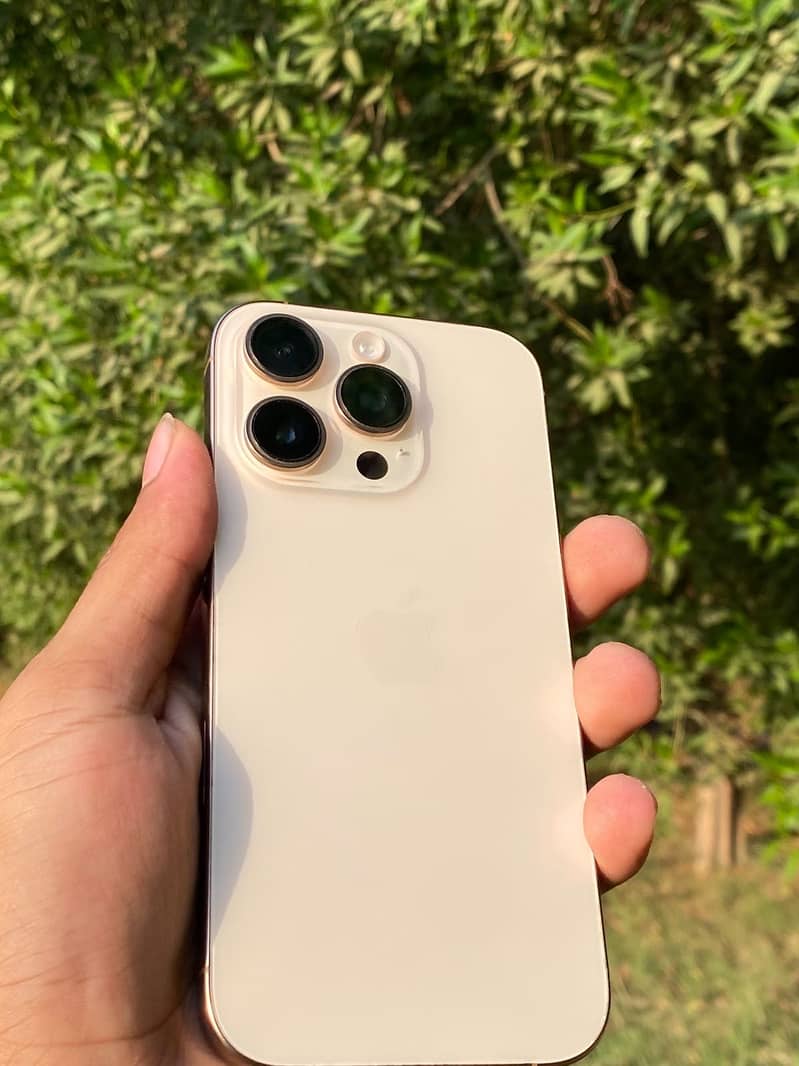 Apple iPhone 16 Pro 0