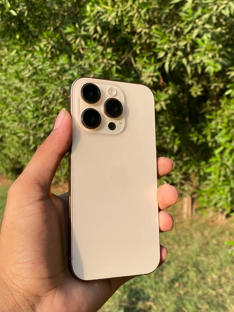 Apple iPhone 16 Pro 1