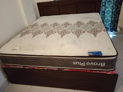 Celeste Bravo Plus king Size 78X72