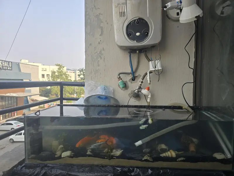 Full 3.5 feet Aquraium with aquaplants premium black sand and fish — photo 6