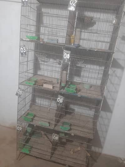 8 Portion All ok cage