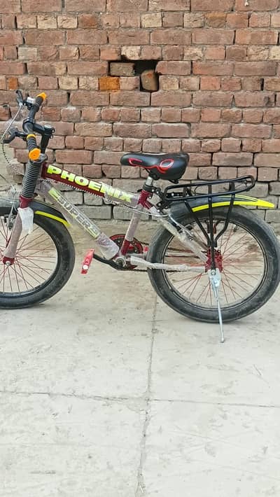 bicycle converter 10 condition