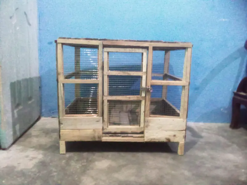 hen's cage