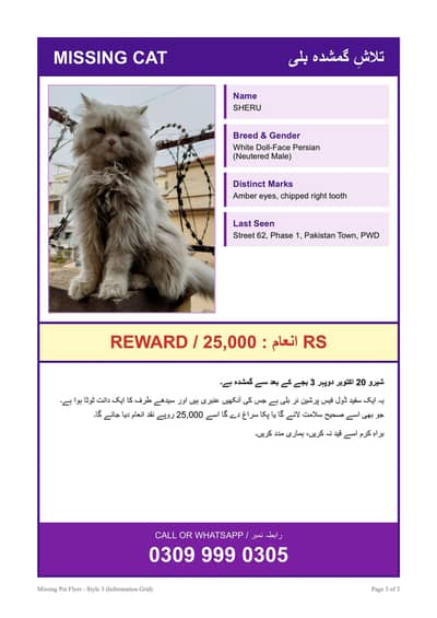 Lost cat. Reward 25,000.