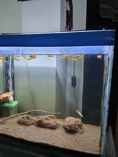 Aquarium for sale