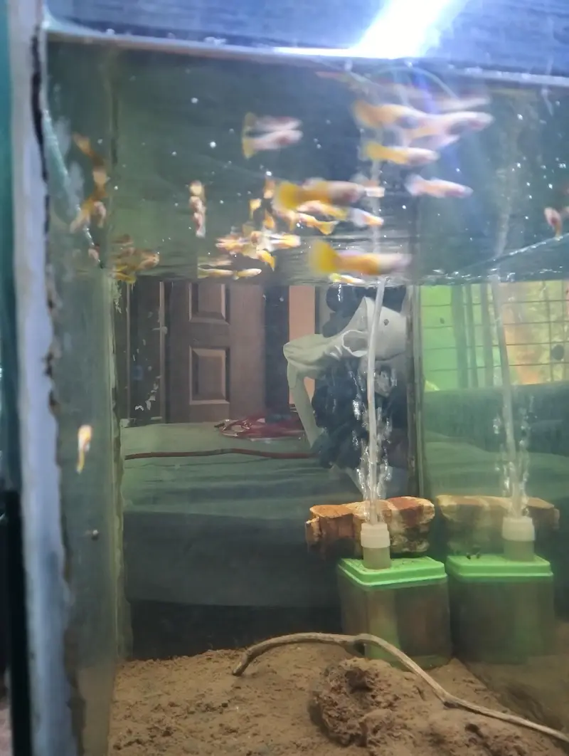 Aquarium for sale — photo 2